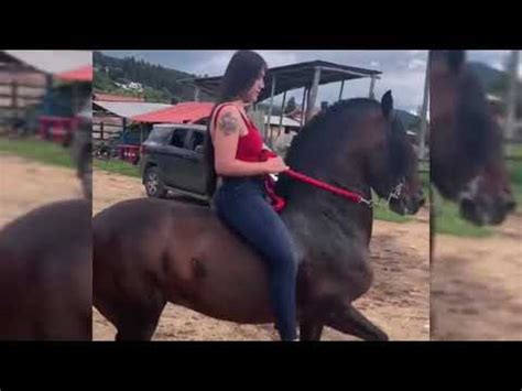 shemale riding compilation|shemales riding compilation vol 5